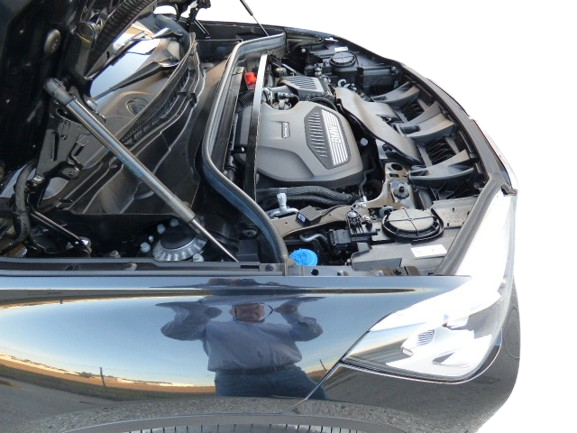 P1680351-removebg-preview