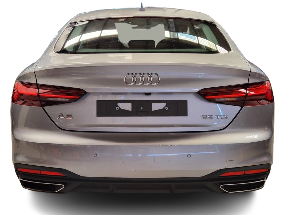 20251112_105231-removebg-preview