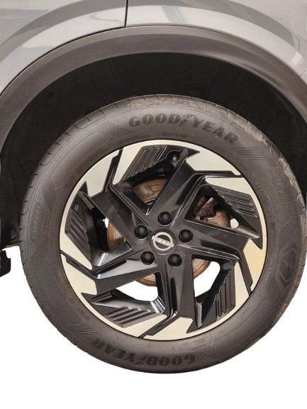 20260224_121253-removebg-preview