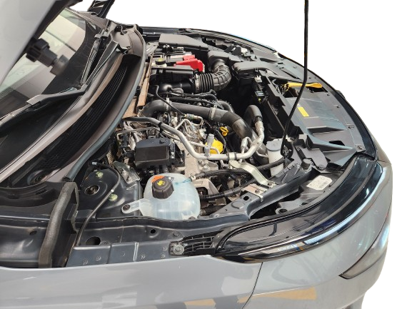 20260224_121720-removebg-preview (1)