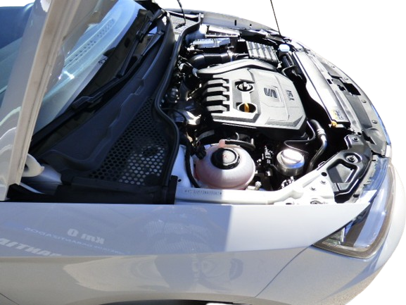 P1510074-removebg-preview